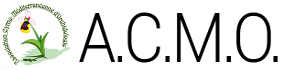 Logo ACMO